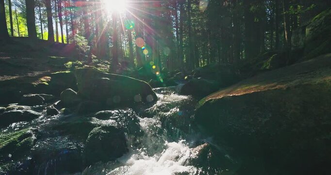 Static shot of a small forest waterfall and rocky stream illuminated by warm sunlight, surrounded by moss-covered stones and trees, with authentic sounds of flowing water.