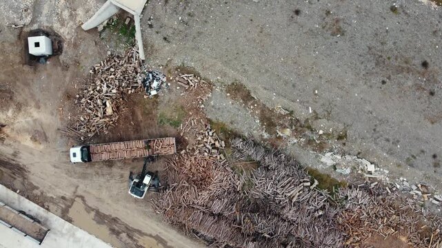 Top down aerial drone shot of hydraulic log loader crane loading timber wood logs onto cargo truck in sawmill lumber yard
