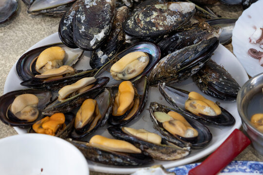 Fresh Matsu Mussels in Taiwan馬祖淡菜