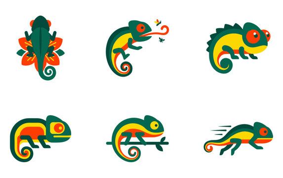 Chameleon lizard vector icons set with colorful tropical wild animals for wildlife design project