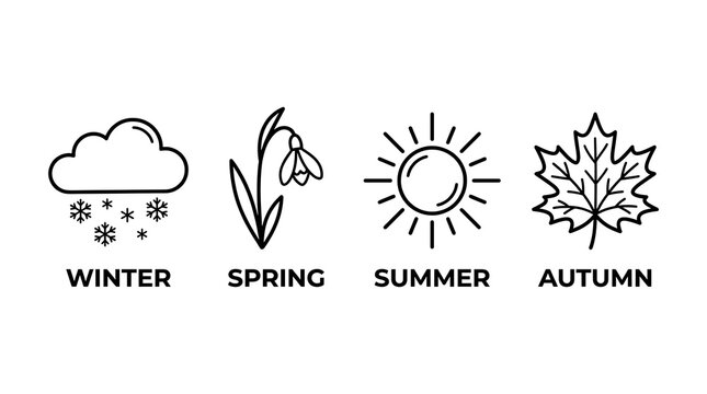 Four seasons line art icons representing winter spring summer and autumn on white background