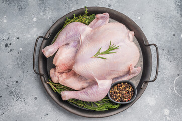 Raw whole chicken on a rustic metal tray with fresh rosemary, thyme, and peppercorns on a gray concrete background, ready for cooking. © Mironov