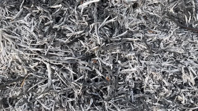 Top Down Texture of Scattered Straw Ash for Soil Science Concept