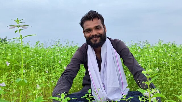 Happy indian farmer sitting and smiling in sesame crop field