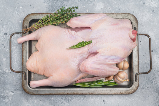 Raw Plucked whole duck prepared with herbs on vintage tray over gray stone backdrop showcasing fresh raw poultry for kitchen ingredient visuals.
