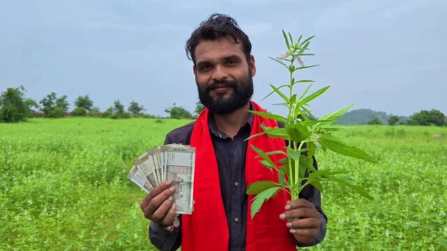 Happy indian farmer holding money notes and green crop plant in agricultural field
