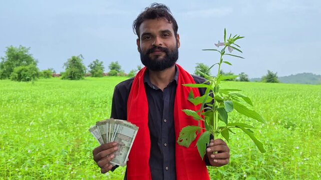 Happy indian farmer holding money notes and green crop plant in agricultural field