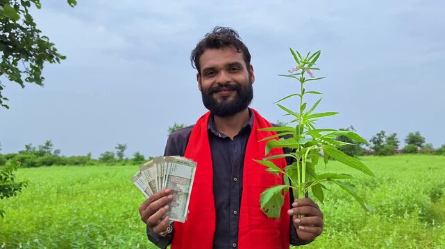 Happy indian farmer holding money notes and green crop plant in agricultural field
