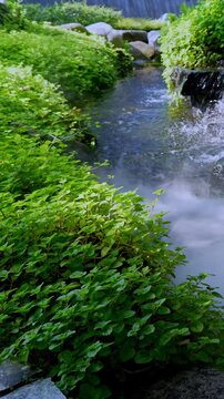 Peaceful mini waterfall cascades over green mossy stones in a tranquil Japanese garden