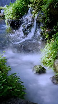 Peaceful mini waterfall cascades over green mossy stones in a tranquil Japanese garden