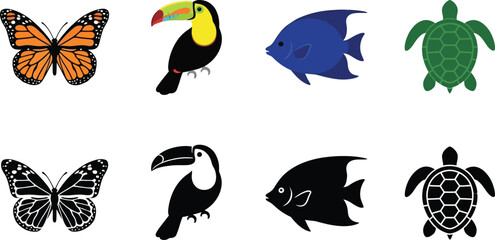 Fototapeta premium Wildlife animals in color and black and white butterfly, toucan, fish, and sea turtle.