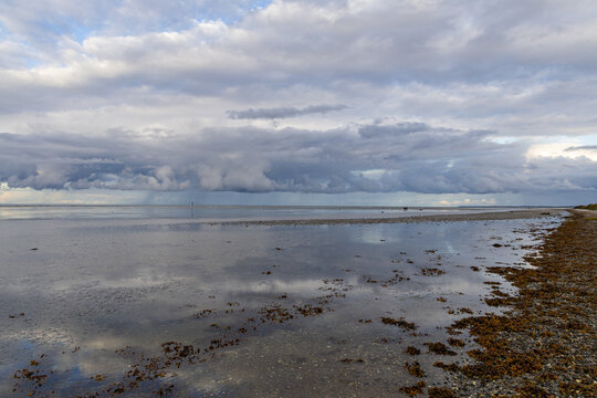 View of the coastal landscape at low tide with wet sand reflecting the dramatic cloudy sky and seaweed scattered along the shoreline in Allingabro, Jutland, Denmark.