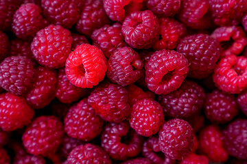 raspberry close up © Mykola