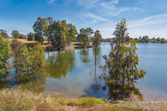 View of Minas de Sao Domingos lake with trees partially submerged in the water under a clear blue sky in Corte do Pinto, Beja District, Portugal.