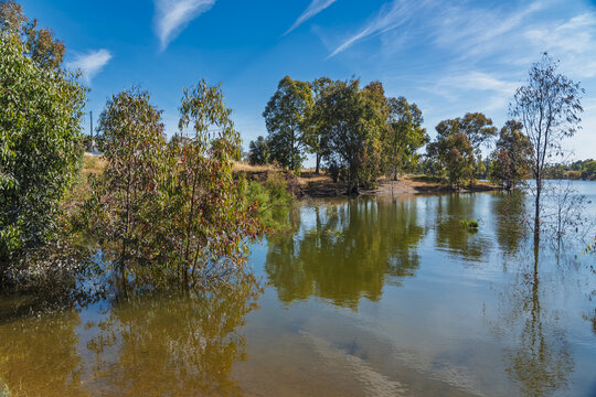 View of the calm waters and partially submerged trees at the historic Minas de Sao Domingos in Corte do Pinto, Beja District, Portugal.