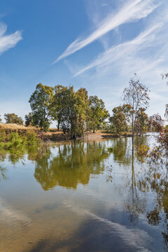 View of the reservoir at Minas de Sao Domingos with trees along the bank and reflections in the water under a clear blue sky in Corte do Pinto, Beja District, Portugal.