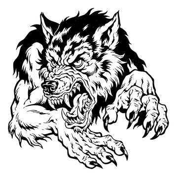 PNG Fierce werewolf head illustration in black and white
