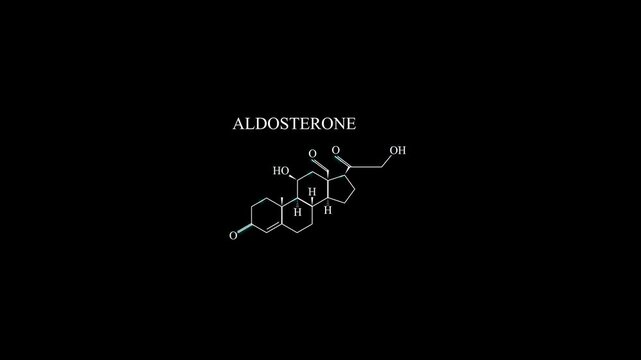 Aldosterone Molecule Molecular Structure Animation, Steroid Hormone Chemical Formula Science Motion Graphic