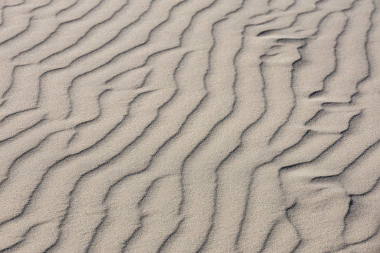 View of Rabjerg Mile featuring intricate wind-blown sand ripples and textures in Skagen, Jutland, Denmark.