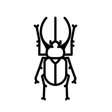 Chiron Beetle