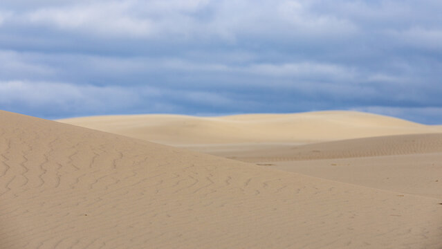 View of the vast sand dunes of Rabjerg Mile with rippled sand patterns under a cloudy sky in Skagen, Jutland, Denmark.