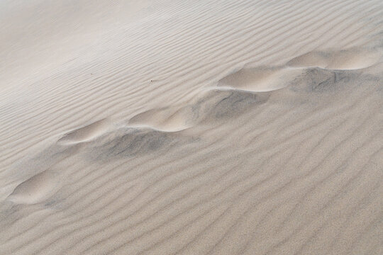 View of footprints in the sand dunes at Rabjerg Mile in Skagen, Jutland, Denmark.