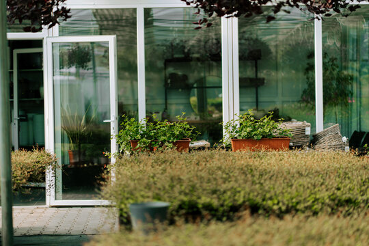 Potted plants sit on the window ledge of a glass building during a sunny day in the garden center
