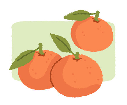Fresh orange mandarins with green leaves. Hand drawn cute vector illustration on soft background