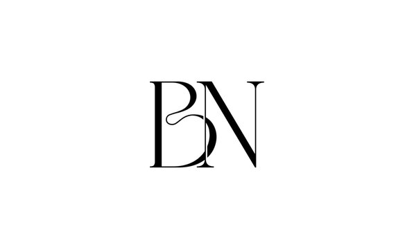 BN or NB monogram logo luxury elegant lettermark icon set