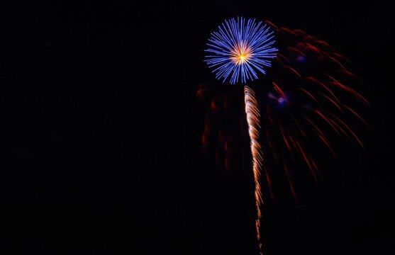 View of a vibrant blue firework burst illuminating the night sky in Paradise, Pennsylvania, United States.