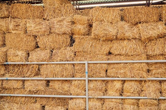 View of stacked hay bales at SCL Agroindustrial Farm in Kundu, Federal Capital Terri, Nigeria.
