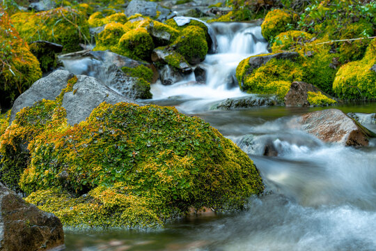 View of a long exposure of a creek flowing over moss-covered rocks in the Uinta Mountains during autumn in American Fork, Utah, United States.