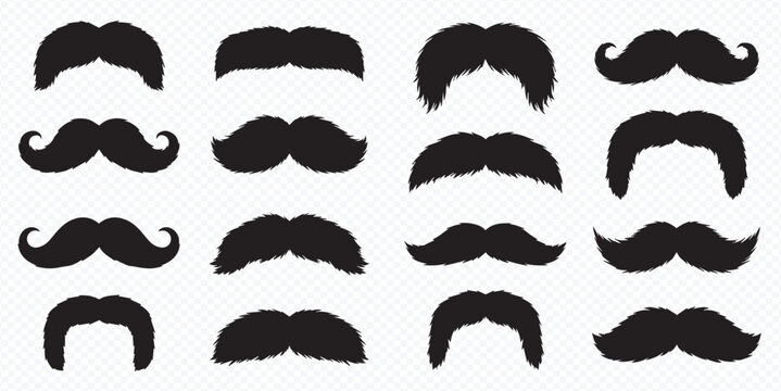 Collection of various black mustache styles on a transparent background, perfect for costume parties or vintage designs.