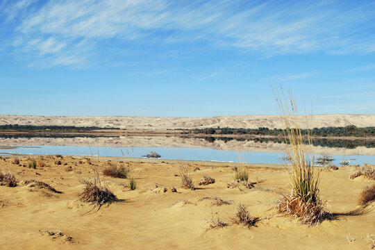 Farafra oasis. Egypt