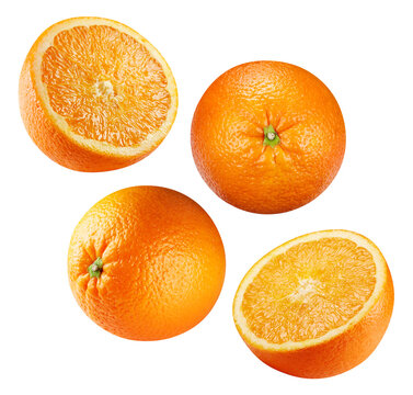 Organic flying oranges in air close up. Levitation and falling juicy citrus fruits with clipping path. Professional food photography