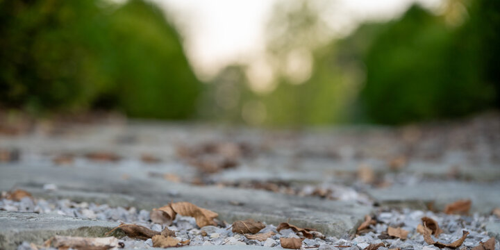 low-angle view of fallen leaves scattered over a gravel and flagstone garden path with a soft, blurred nature background