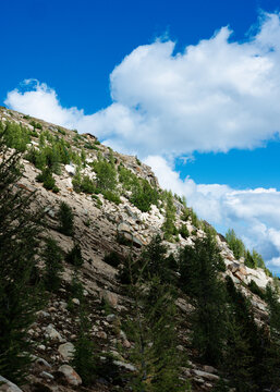 Conifers on a rocky mountainside beneath white clouds