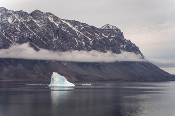 Arctic landscapes of Scoresby sund in East Greenland © Michael
