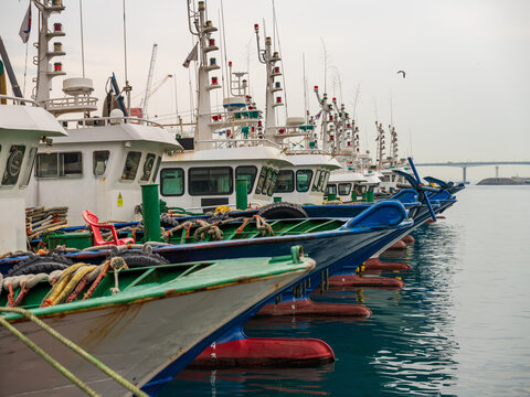 View of a row of colorful fishing boats moored in the harbor with white cabins and blue and green hulls under a calm sky in Busan, Busan, South Korea.