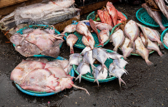 View of fresh fish displayed in blue plastic baskets at a market in Busan, Busan, South Korea.