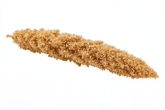 Golden, elongated corn cob with dense, clustered kernels against a white background.