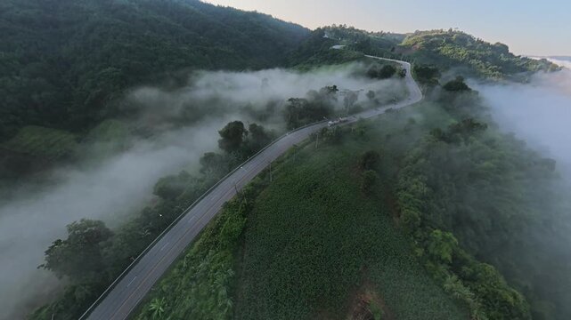 Winding Mountain Road Through Morning Mist at Phu Kao Ngom, Loei, Thailand