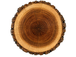 Fototapeta premium Rustic wood cross section, round timber log slice, natural oak tree rings texture isolated on Transparent Background