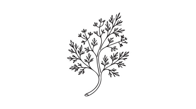 dill sprig vector icon, continuous line art illustration for culinary design continuous line art vector icon