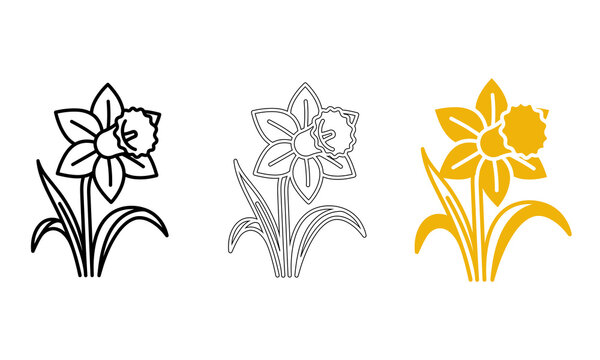 Daffodil flower vector graphic set including black line art, clean outline, and solid yellow silhouette icons.