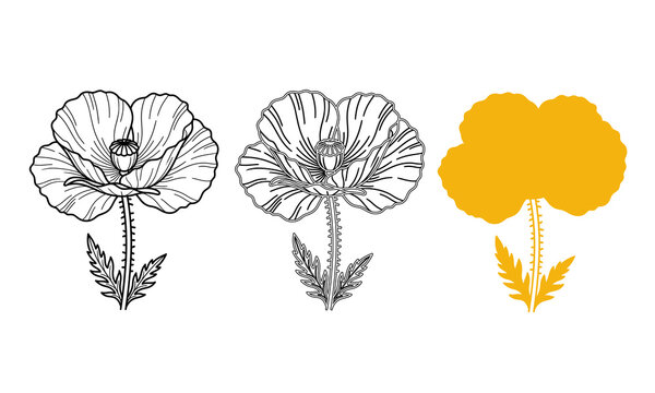 Poppy flower vector graphic set featuring detailed black line art, clean outline, and solid yellow silhouette.