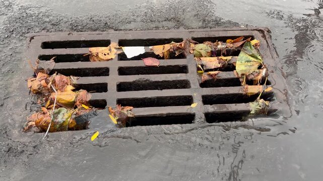 a rectangular metal storm drain grate set in wet asphalt during a rainy autumn day.
