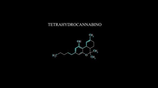 Tetrahydrocannabinol THC Molecule Molecular Structure Animation, Cannabis Compound Chemical Formula Science Motion Graphic