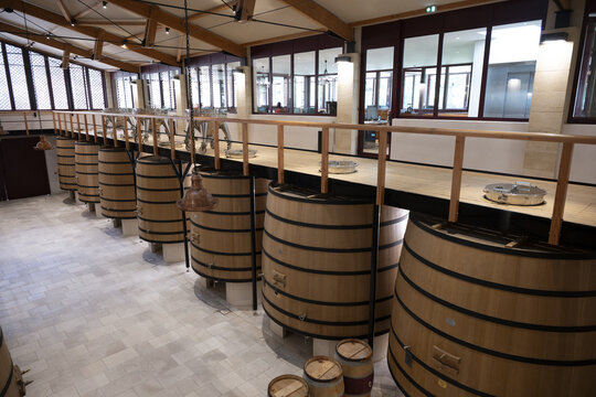FRANCE, GIRONDE 33 SAINT-JULIEN-BEYCHEVELLE, 2025 BORDEAUX EN PRIMEUR TASTINGS AT CHATEAU LEOVILLE-BARTON, MEDOC, BORDEAUX VINEYARD