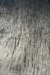 Obraz premium Weathered Grey Wood Texture Background with Deep Grooves and Cracks